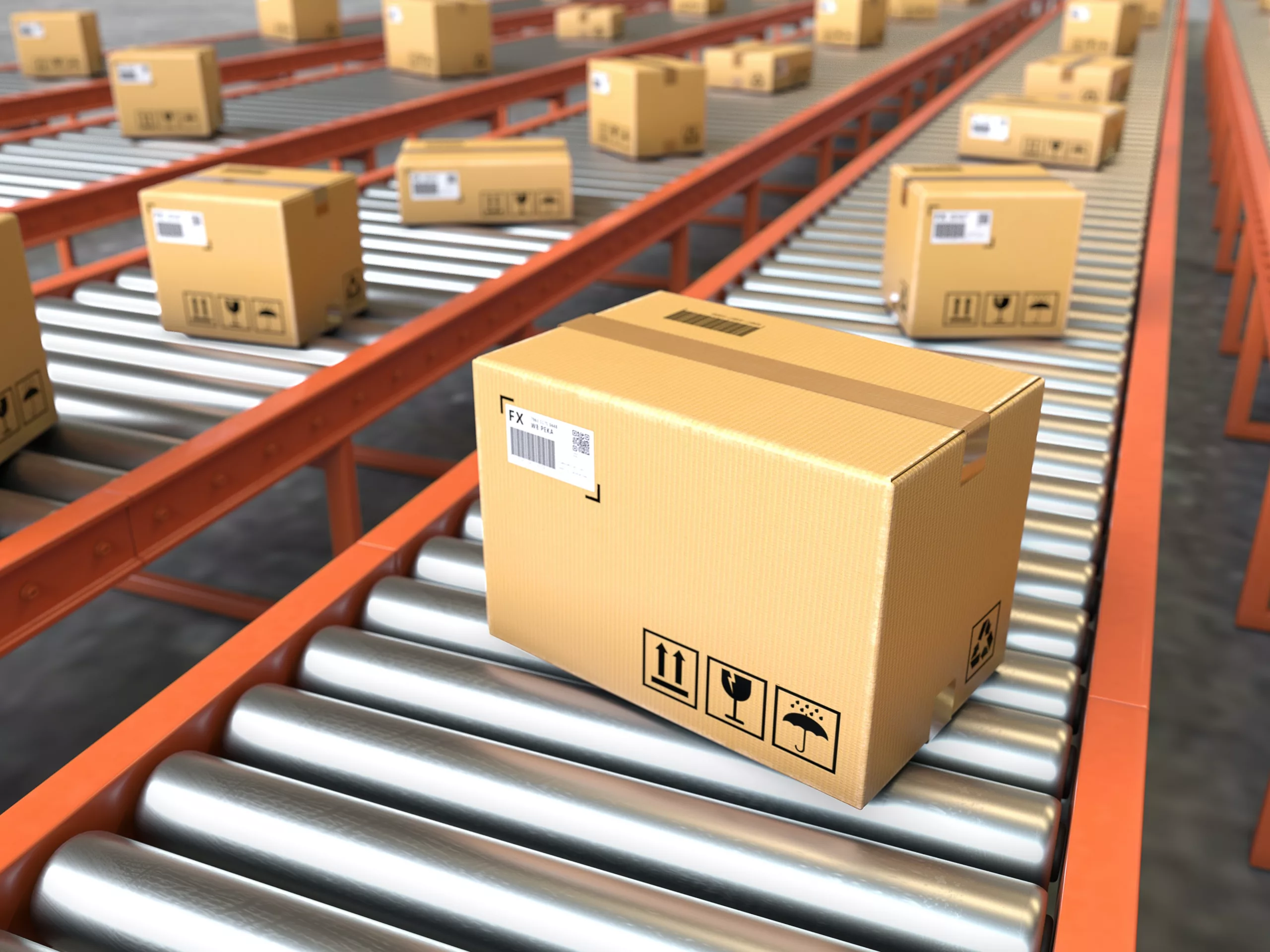 CarryOn Express team and logistics network